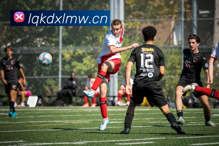 mk体育官方网站登录服务体系